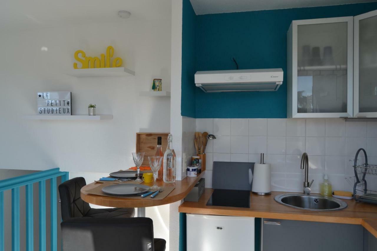 Le Petit Studieux - Parking - Animaux Acceptes - Centre Ville Accessible A Pied Albi Exterior foto