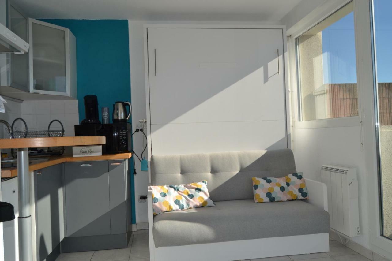 Le Petit Studieux - Parking - Animaux Acceptes - Centre Ville Accessible A Pied Albi Exterior foto